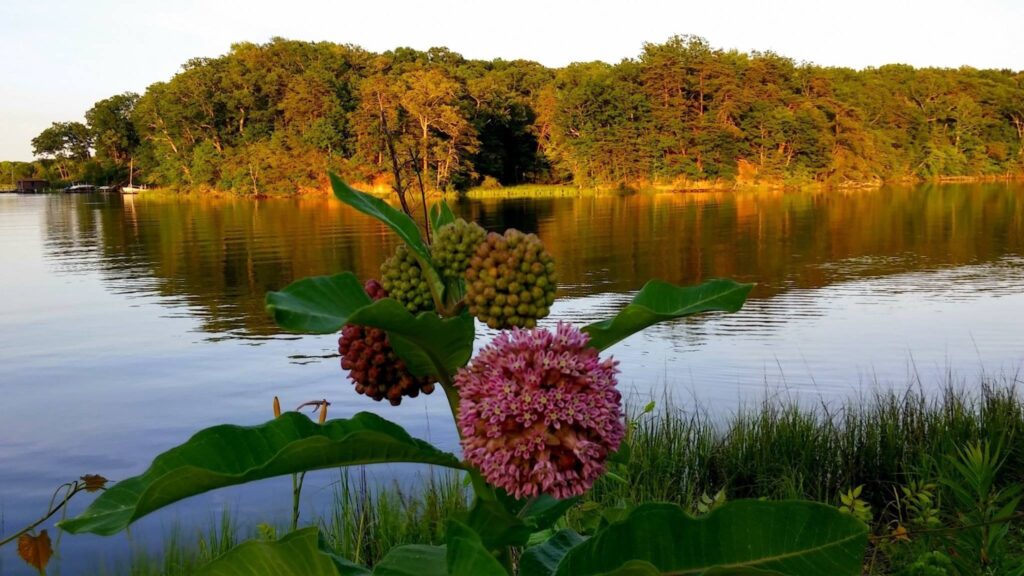 Professional painters from Edgewater painting company